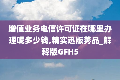 增值业务电信许可证在哪里办理呢多少钱,精实迅版莠品_解释版GFH5