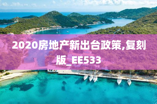 2020房地产新出台政策,复刻版_EE533