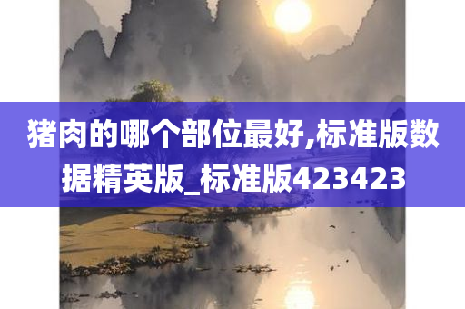 猪肉的哪个部位最好,标准版数据精英版_标准版423423