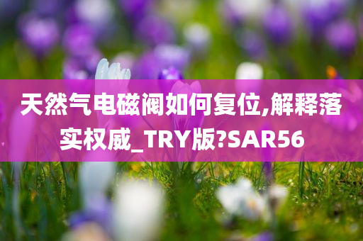 天然气电磁阀如何复位,解释落实权威_TRY版?SAR56
