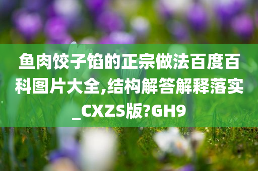 鱼肉饺子馅的正宗做法百度百科图片大全,结构解答解释落实_CXZS版?GH9