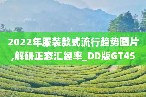 2022年服装款式流行趋势图片,解研正态汇经率_DD版GT45