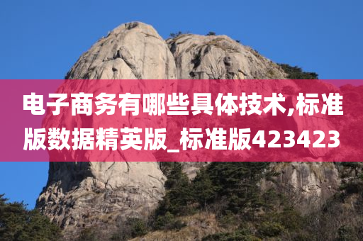 电子商务有哪些具体技术,标准版数据精英版_标准版423423