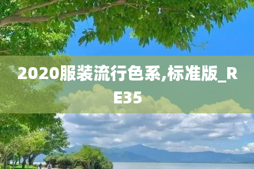 2020服装流行色系,标准版_RE35