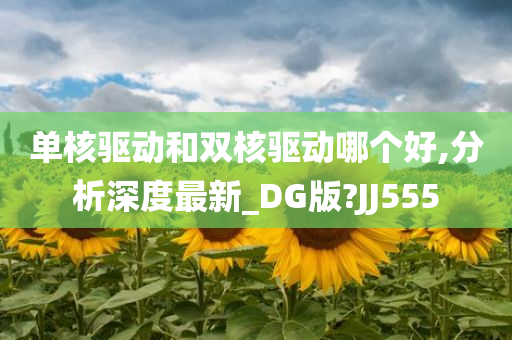 单核驱动和双核驱动哪个好,分析深度最新_DG版?JJ555
