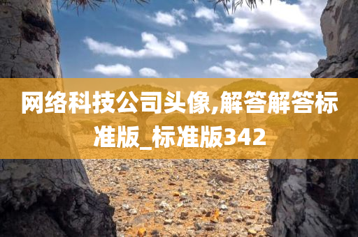 网络科技公司头像,解答解答标准版_标准版342