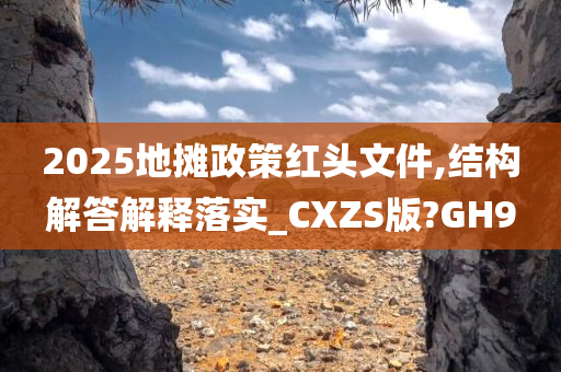 2025地摊政策红头文件,结构解答解释落实_CXZS版?GH9