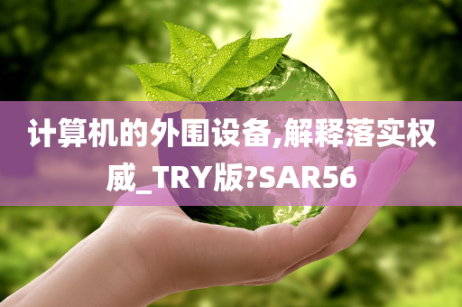 计算机的外围设备,解释落实权威_TRY版?SAR56
