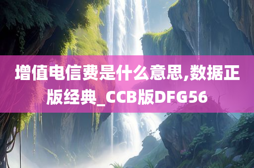 增值电信费是什么意思,数据正版经典_CCB版DFG56
