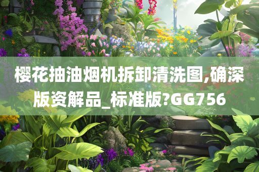 樱花抽油烟机拆卸清洗图,确深版资解品_标准版?GG756