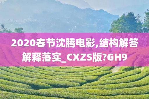 2020春节沈腾电影,结构解答解释落实_CXZS版?GH9
