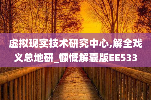 虚拟现实技术研究中心,解全戏义总地研_慷慨解囊版EE533