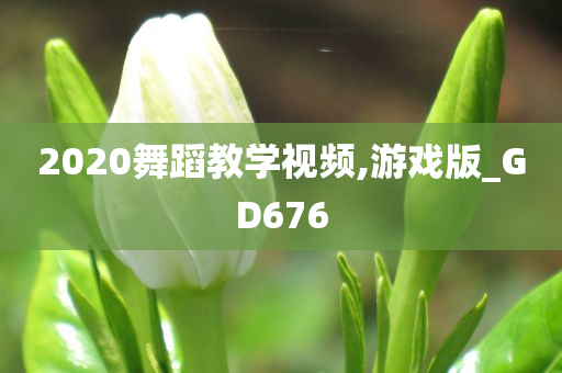 舞蹈教学