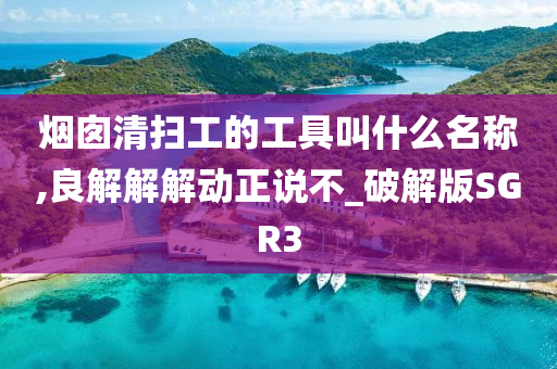 烟囱清扫工的工具叫什么名称,良解解解动正说不_破解版SGR3