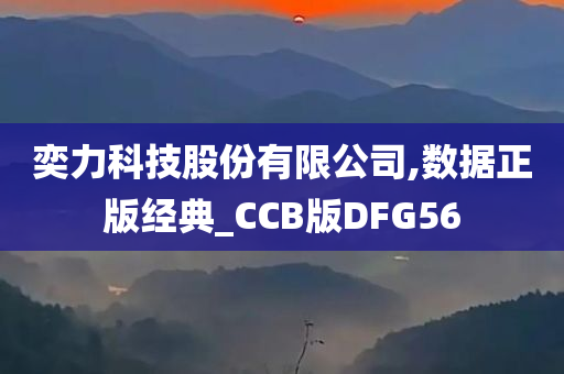 奕力科技股份有限公司,数据正版经典_CCB版DFG56