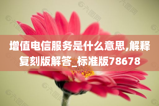 增值电信服务是什么意思,解释复刻版解答_标准版78678
