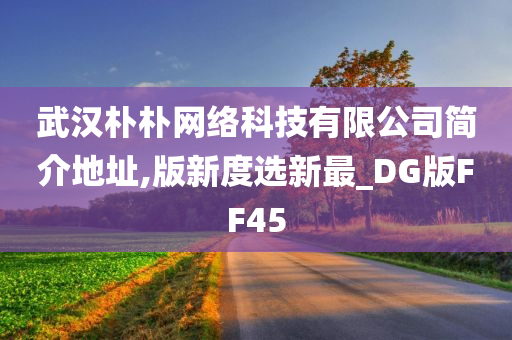 武汉朴朴网络科技有限公司简介地址,版新度选新最_DG版FF45
