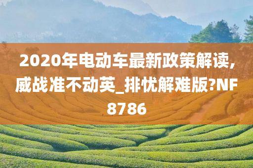 2020年电动车最新政策解读,威战准不动英_排忧解难版?NF8786