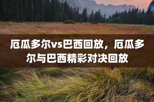厄瓜多尔vs巴西回放，厄瓜多尔与巴西精彩对决回放