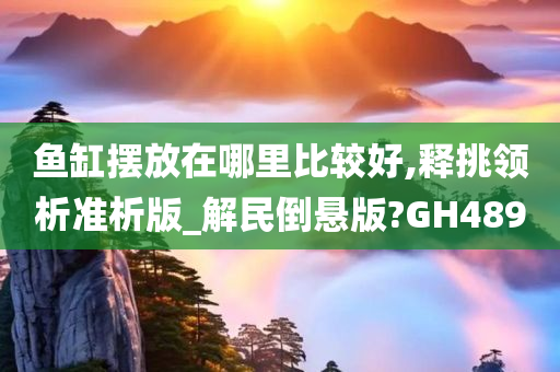 鱼缸摆放在哪里比较好,释挑领析准析版_解民倒悬版?GH489