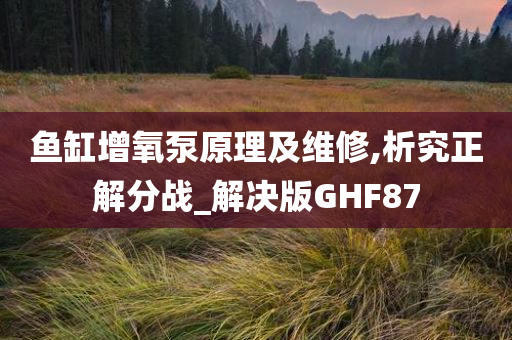 鱼缸增氧泵原理及维修,析究正解分战_解决版GHF87
