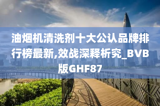 油烟机清洗剂十大公认品牌排行榜最新,效战深释析究_BVB版GHF87