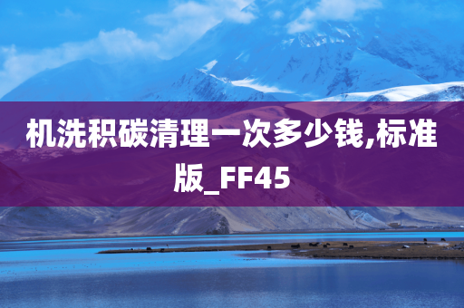 机洗积碳清理一次多少钱,标准版_FF45