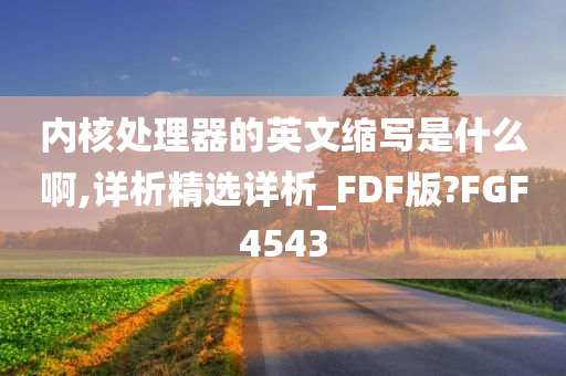 内核处理器的英文缩写是什么啊,详析精选详析_FDF版?FGF4543