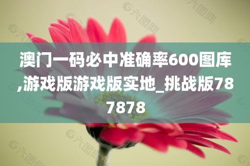 澳门一码必中准确率600图库,游戏版游戏版实地_挑战版787878
