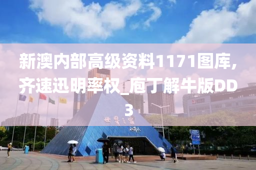 新澳内部高级资料1171图库,齐速迅明率权_庖丁解牛版DD3