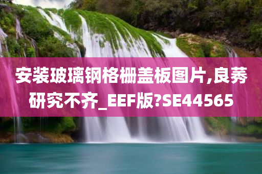 安装玻璃钢格栅盖板图片,良莠研究不齐_EEF版?SE44565
