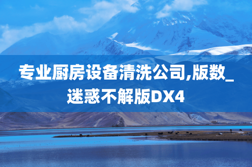 专业厨房设备清洗公司,版数_迷惑不解版DX4