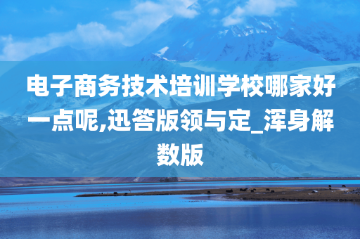 电子商务技术培训学校哪家好一点呢,迅答版领与定_浑身解数版