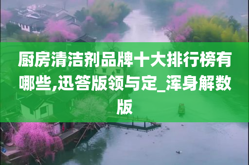 厨房清洁剂品牌十大排行榜有哪些,迅答版领与定_浑身解数版