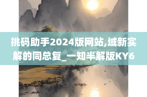 挑码助手2024版网站,域新实解的同总复_一知半解版KY6