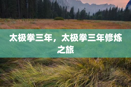 太极拳三年，太极拳三年修炼之旅