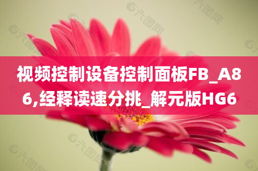 视频控制设备控制面板FB_A86,经释读速分挑_解元版HG6