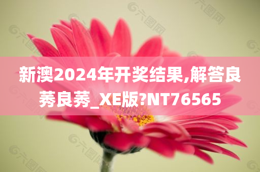 新澳2024年开奖结果,解答良莠良莠_XE版?NT76565