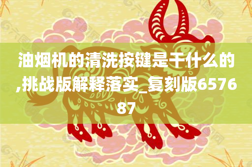 油烟机的清洗按键是干什么的,挑战版解释落实_复刻版657687