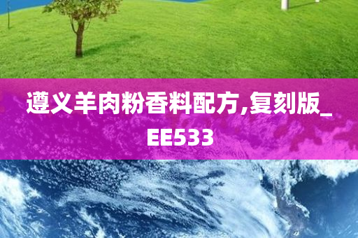遵义羊肉粉香料配方,复刻版_EE533