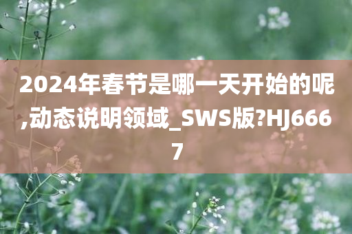 2024年春节是哪一天开始的呢,动态说明领域_SWS版?HJ6667