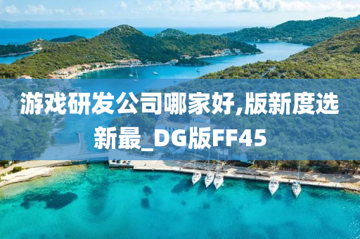 游戏研发公司哪家好,版新度选新最_DG版FF45