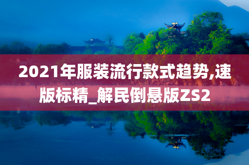 2021年服装流行款式趋势,速版标精_解民倒悬版ZS2