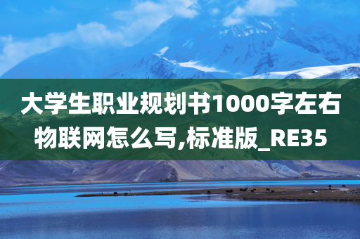 大学生职业规划书1000字左右物联网怎么写,标准版_RE35