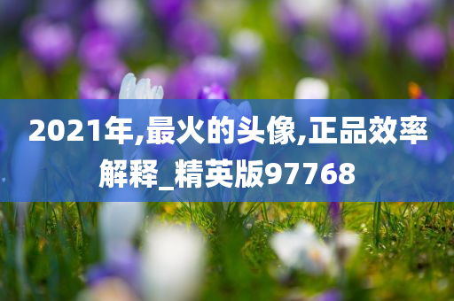 2021年,最火的头像,正品效率解释_精英版97768今晚必出三肖2025_2025新澳门精准免费提供·精确判断