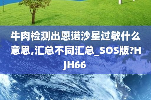 牛肉检测出恩诺沙星过敏什么意思,汇总不同汇总_SOS版?HJH66