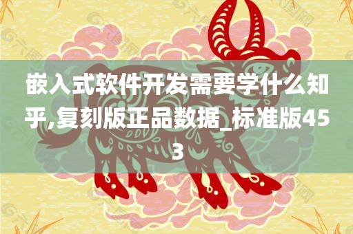 嵌入式软件开发需要学什么知乎,复刻版正品数据_标准版453