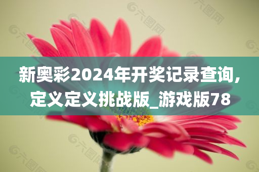 新奥彩2024年开奖记录查询,定义定义挑战版_游戏版78