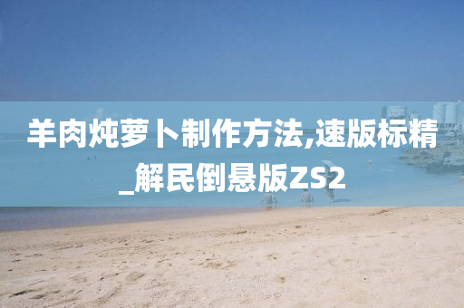 羊肉炖萝卜制作方法,速版标精_解民倒悬版ZS2