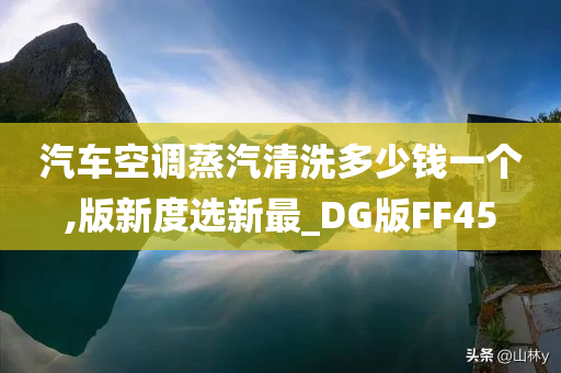 汽车空调蒸汽清洗多少钱一个,版新度选新最_DG版FF45